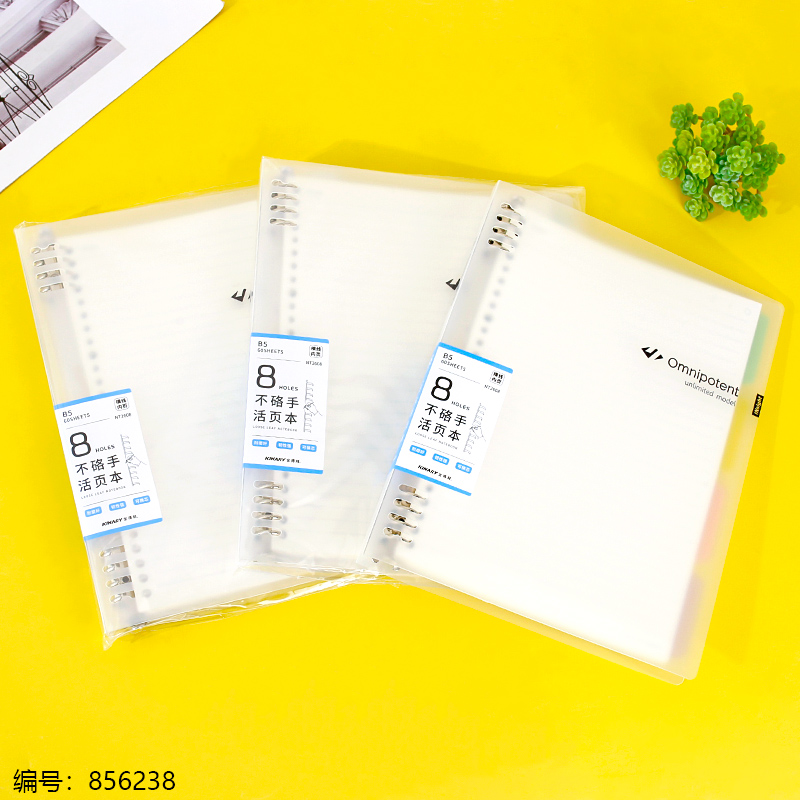 Eight-Ring Loose-Leaf Notebook, 60 Sheets B5 2608