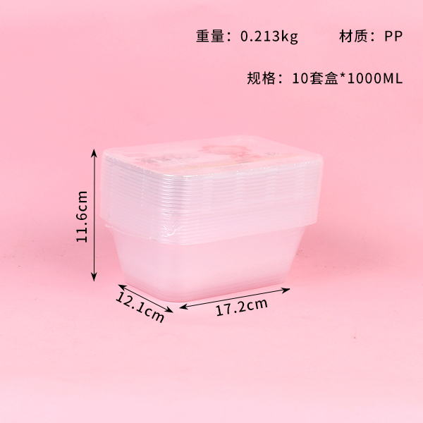 AMS-197 square disposable packing box (10)