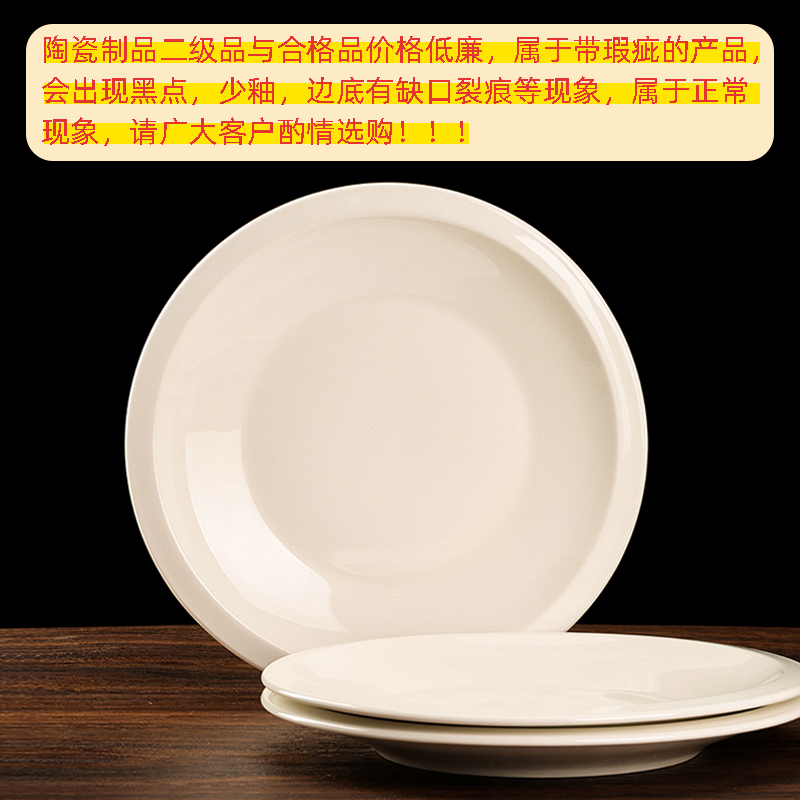 White porcelain 10 inch French platter (qualified)