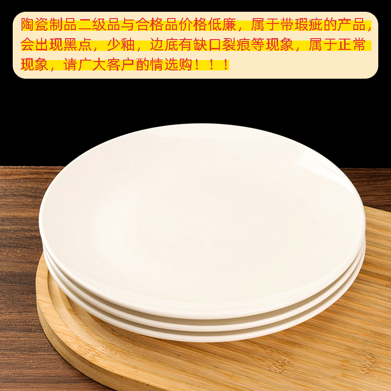 White Porcelain 9-inch Shallow Plate (Qualified)