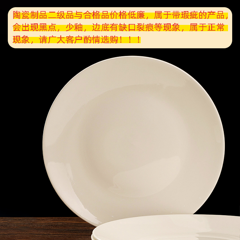 White Porcelain 14-inch Shallow Plate (Qualified)