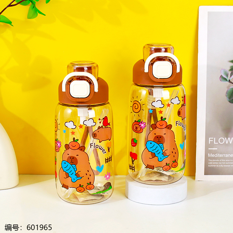 Capybara Space Bottle 710ml-8203