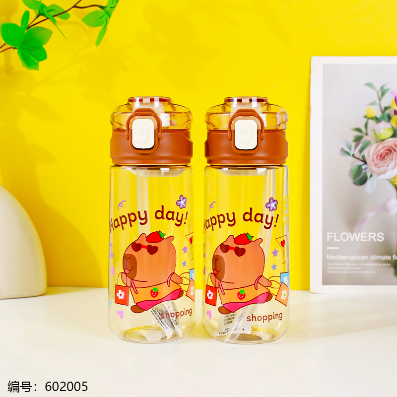 Capybara Space Bottle 620ml-8206
