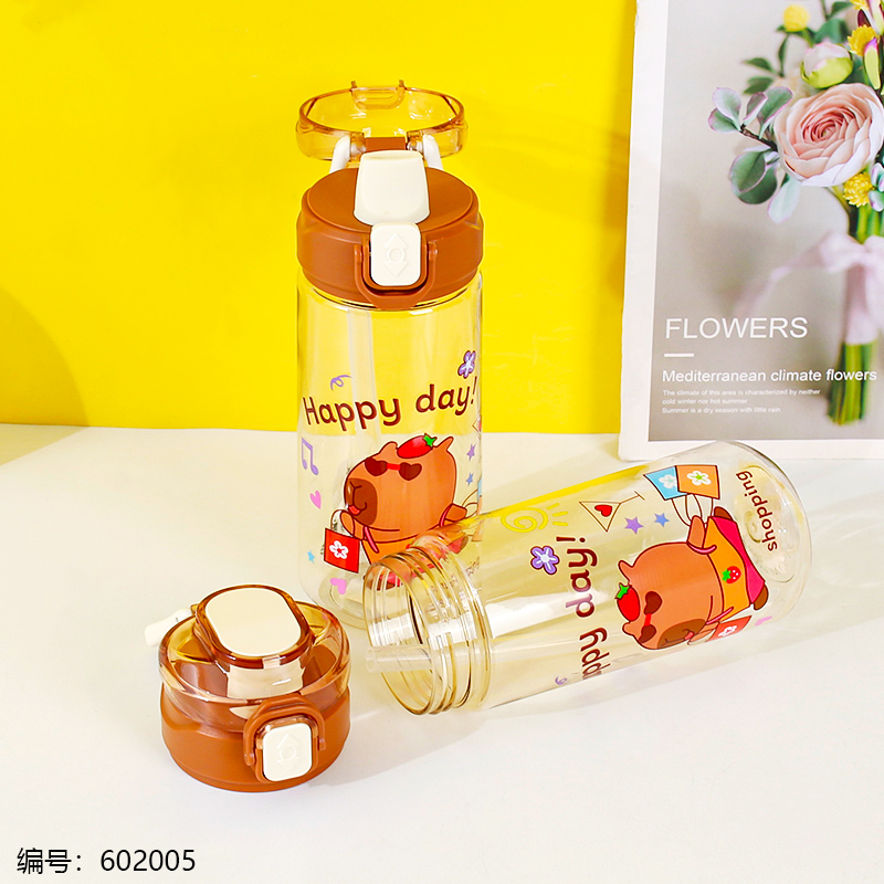 Capybara Space Bottle 620ml-8206