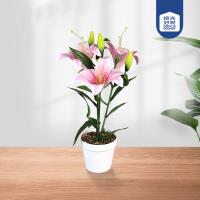 657 Plastic Flower Bonsai