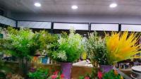 5支布花 2