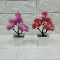方盆塑料花 2