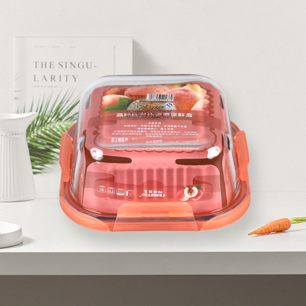 Food Container T651