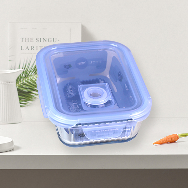 Food Container T621