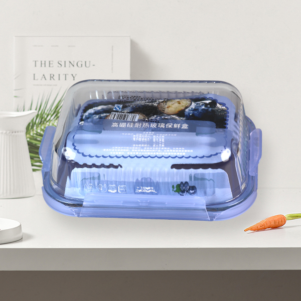 Food Container T621