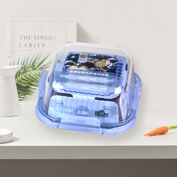 Food Container T625