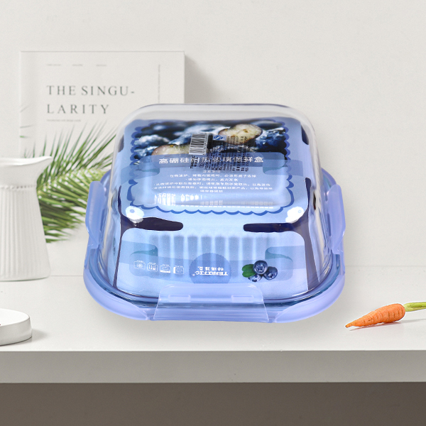 Food Container T626