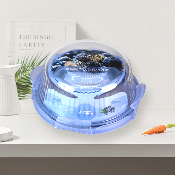 Food Container T627