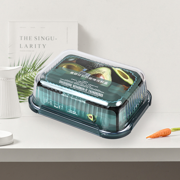 Food Container T636