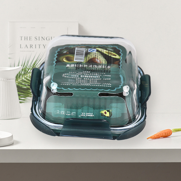 Food Container T637
