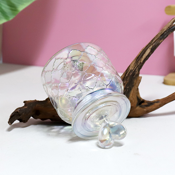 Colorful Mesh Glass Storage Jar 650ML 602080030