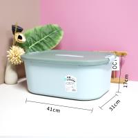 Large Multifunctional Storage Box with Handle