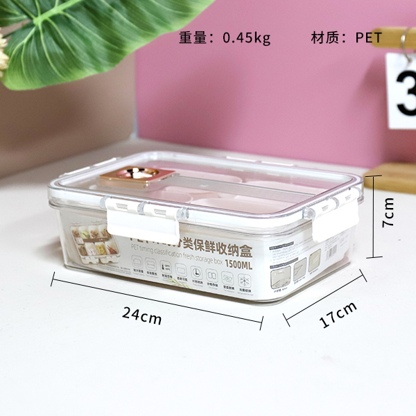 Small Short 4 Compartment PET Storage Box