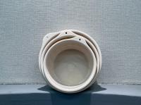 1732仙人掌盆（中号） 2