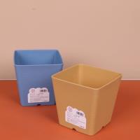 591方花盆 3