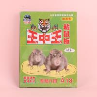 枪仙 王中王粘鼠板 2