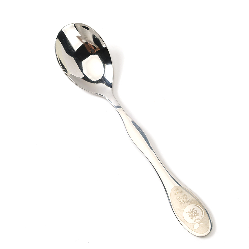 Medium Stainless Steel Spoon YLZ-7923