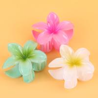 SY哑光鸡蛋花爪夹 3