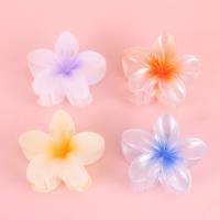 SY珠光鸡蛋花大爪 2