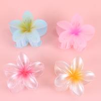 SY珠光鸡蛋花大爪 3