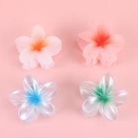 SY珠光鸡蛋花大爪 4