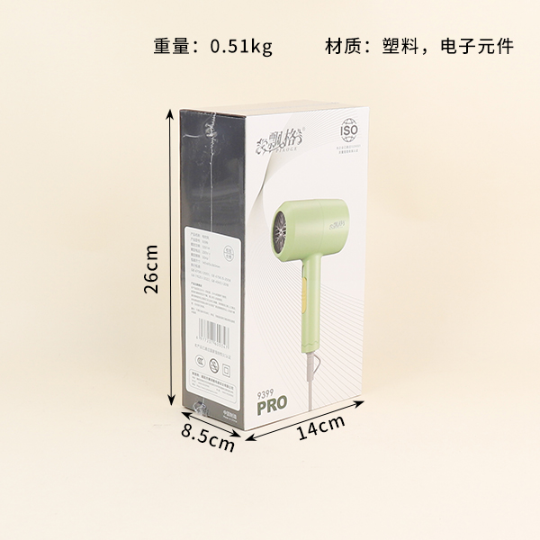 1250W Hair Dryer
