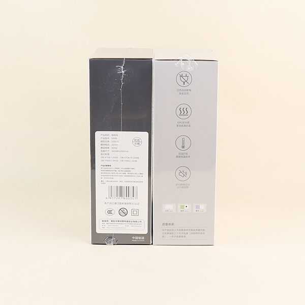 1250W Hair Dryer