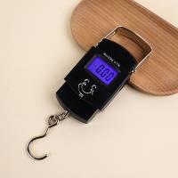 50kg Stainless Steel Digital Hanging Scale