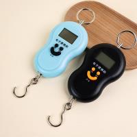 50kg Digital Hanging Scale