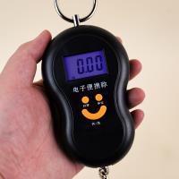 50kg Digital Hanging Scale