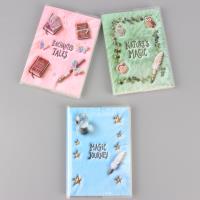 XX60100-24羽毛金葱纸胶套本 2