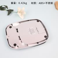 Stainless Steel Kitchen Scale