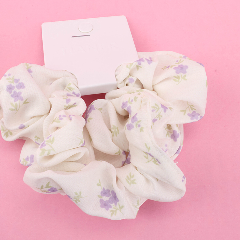 Boxed Spring Color Two Hair Ties 4012101810