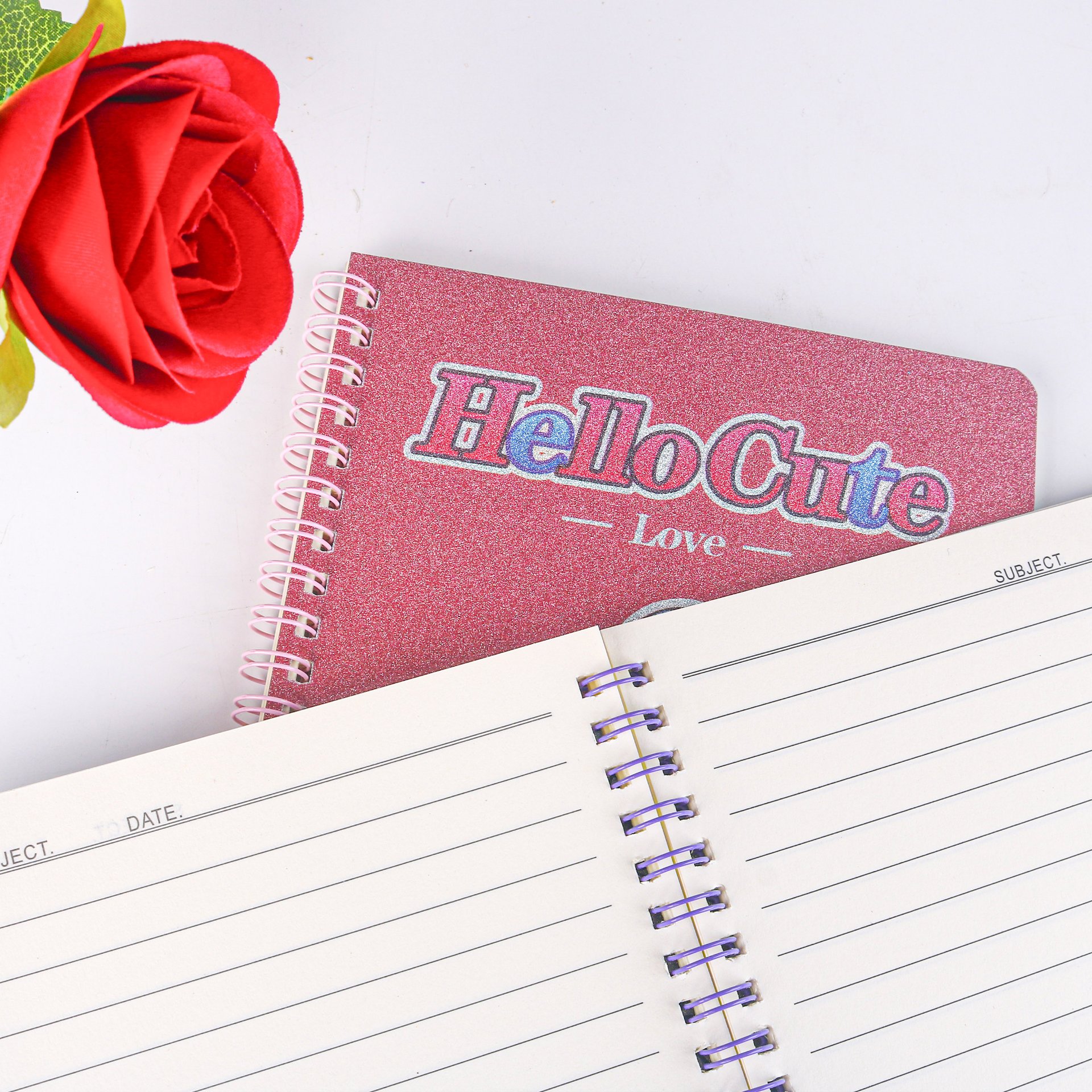 Gold Foil Cat Coil Notebook