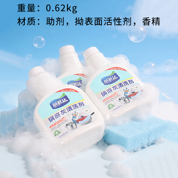 Household Cleaner DF505B
