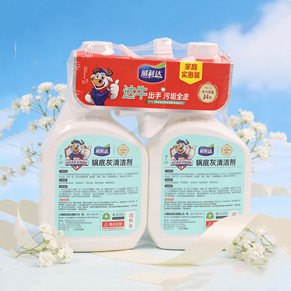 Household Cleaner DF505B