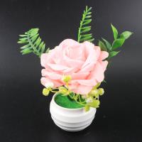 塑料花1314小盆景 5
