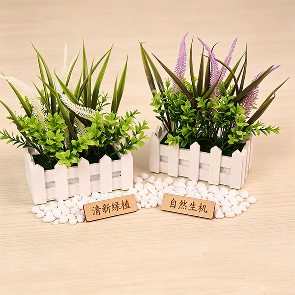 Mixed Fence Tassel Grass Bonsai