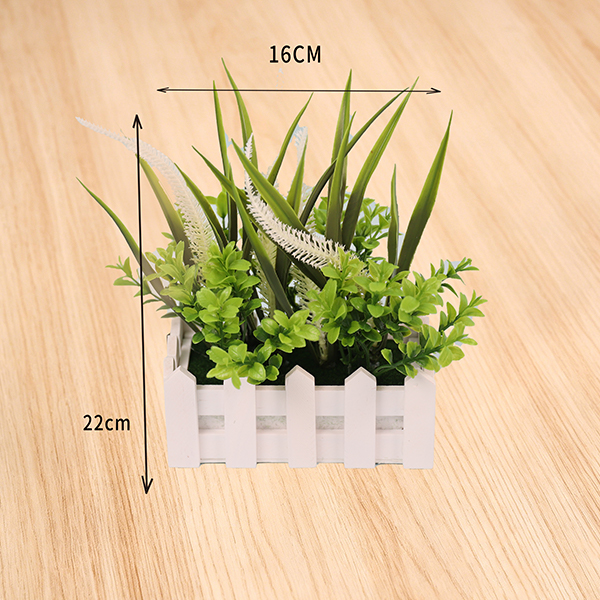 Mixed Fence Tassel Grass Bonsai
