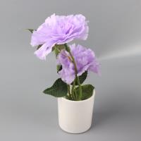 A-15 塑料花 2