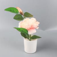 A-15 塑料花 3