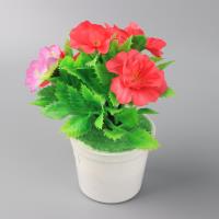 小布花塑料花 2