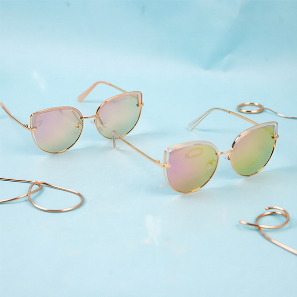 Plastic Polarized Glasses