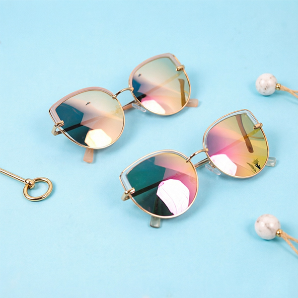 Plastic Polarized Glasses