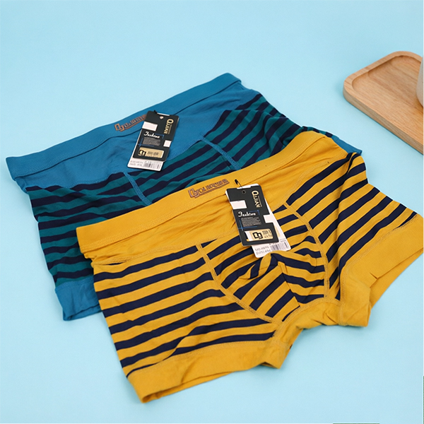 Trendy Striped Men's Underwear XL XXL Modal 111050004
